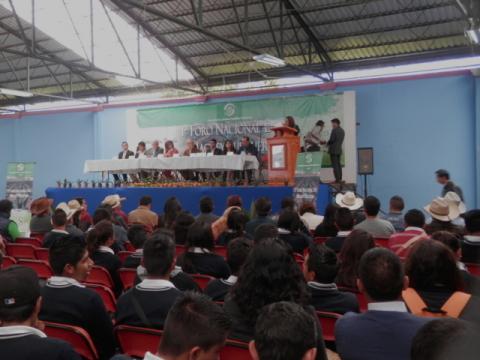 El maguey símbolo de identidad en México: Senadora Lorena Cuéllar Cisneros imagen 4