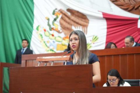 Propone Anel Martínez exhortar a los Ayuntamientos para sustituir uso de pirotecnia por acciones lúdicas en festividades