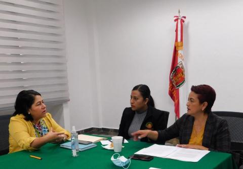 Blanca Águila encamina trabajos legislativos para la publicación de la ley de salud mental y la conducta adictiva imagen 1