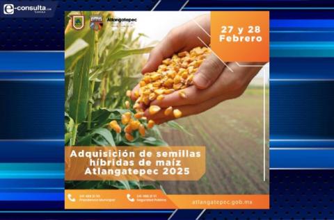 Abren programa para adquisición de semillas híbridas en Atlangatepec