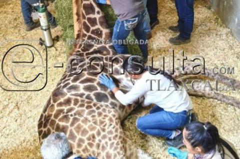 Zoológico del Altiplano es usado como laboratorio para estudiantes