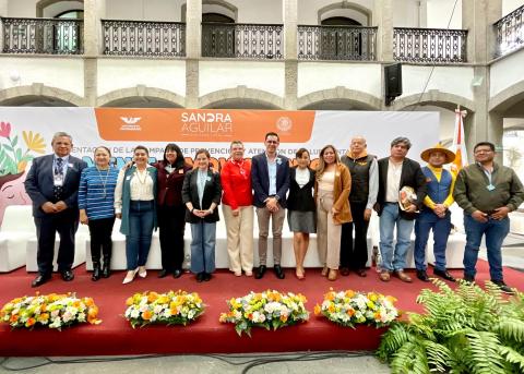 Presentó diputada Sandra Aguilar Vega, campaña de prevención y atención de salud mental imagen 1