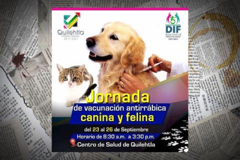 Inicia vacunación canina en el municipio de Quilehtla