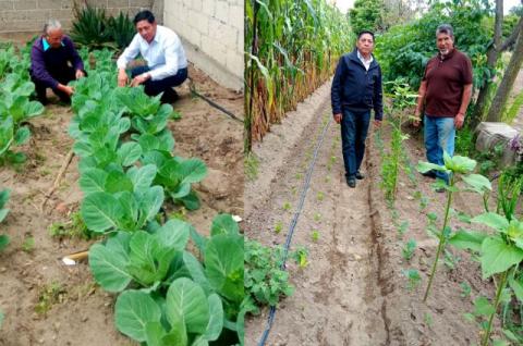 Con apoyo del Gobierno Municipal, familias chiautempenses desarrollan sus propios huertos