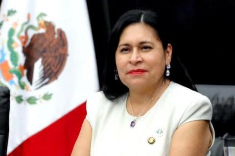 Ana Lilia Rivera es designada Coordinadora Adjunta de la Comisión Coordinadora Ejecutiva del FPH-ALC