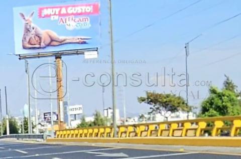 Crítica Severa: Publicidad de Africam Safari Sexualiza a un Canguro en el Periférico Ecológico de Puebla