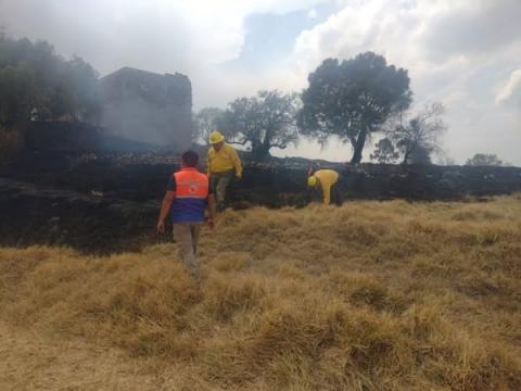 CEPC y CONAFOR controlan incendio de pastizal en el Cerro “Blanco” en Totolac imagen 1