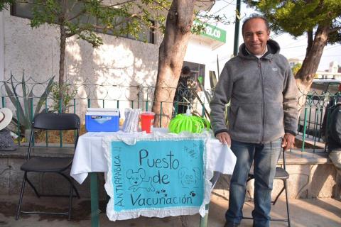 Concluye semana nacional de vacunación antirrábica canina y felina imagen 2