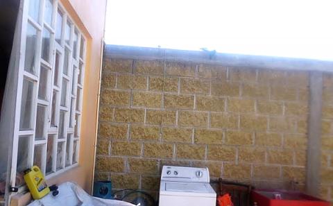 Detienen la policía de Apizaco a dos presuntos ladrones cuando se daban a la fuga imagen 2