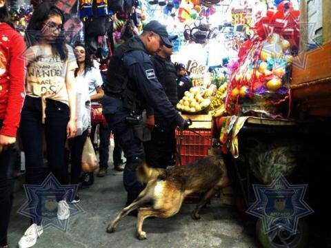 Para inhibir el delito, redobla presencia la Policía de Apizaco imagen 1