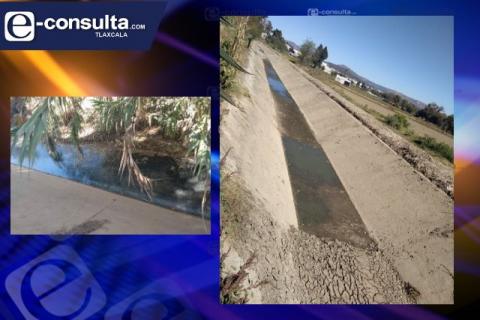 Urgencia ecológica en el Distrito VI; se necesitan políticas públicas: Cristal Corona