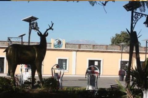 Alcalde suplente de Mazatecochco se contagió de Covid - 19