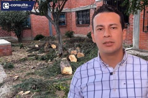 Azain ordena tala ilegal en unidad habitacional; vecinos piden a ambientalistas sanciones