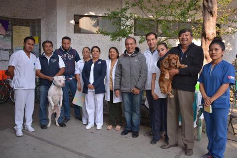 Concluye semana nacional de vacunación antirrábica canina y felina imagen 3