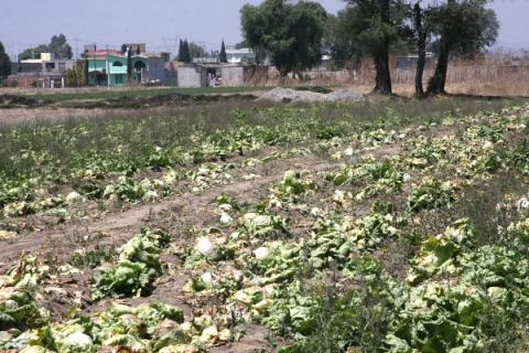 Graves daños a la salud por contaminación del río Zahuapan-Atoyac imagen 7