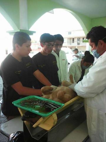 Jornada de Salud en el H. Ayuntamiento de Apizaco imagen 3