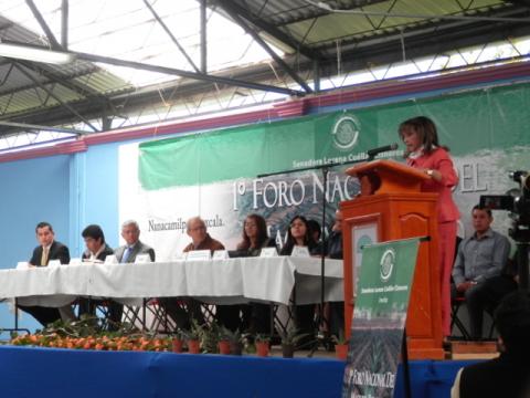 El maguey símbolo de identidad en México: Senadora Lorena Cuéllar Cisneros imagen 5