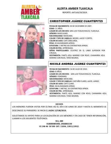 Menores desaparecidos en Teolocholco están con su madre: PGJE imagen 1