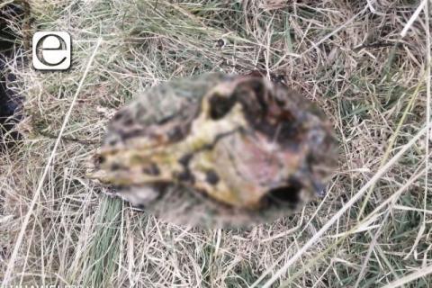 Encuentran restos humanos en presa de Nanacamilpa