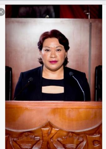 Panistas aplauden elección de Dulce Mastranzo al distrito XV