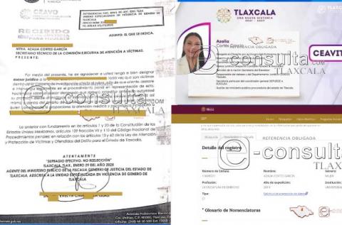 Señalan posible usurpación de títulos académicos por la titular de CEAVIT