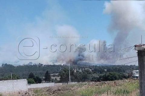 Sequía provoca incendio en zona boscosa ubicada en límites de Xaloztoc y Tocatlán
