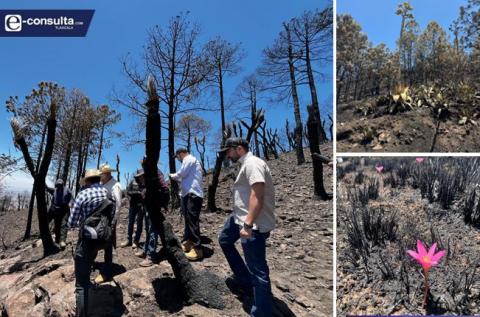 Obtienen información positiva para reforestación tras recorrido por Atltzayanca