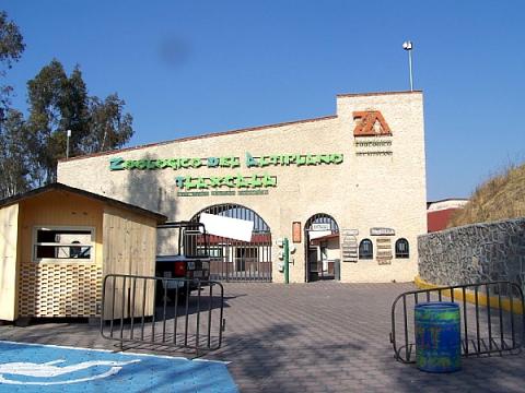 Muerte de animales en el zoológico del Altiplano imagen 6