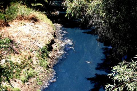 Graves daños a la salud por contaminación del río Zahuapan-Atoyac imagen 3