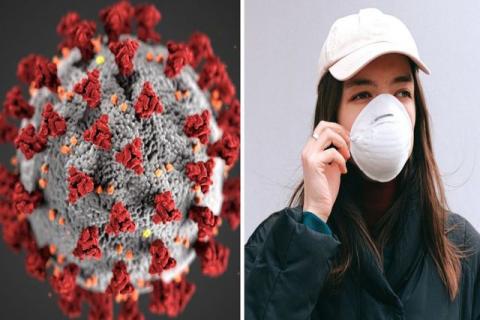 Determinan por medio de un estudio a personas potencialmente inmunes al coronavirus