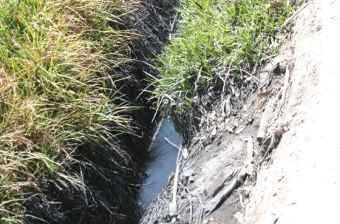 Graves daños a la salud por contaminación del río Zahuapan-Atoyac imagen 4