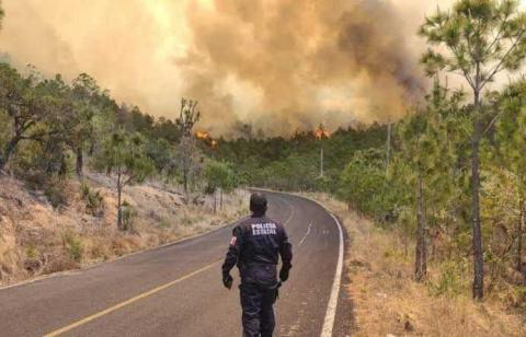 Tuvieron que pasar meses para que el gobierno reaccionara por el incendio del cerro de Atltzayanca