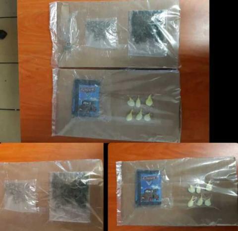 La SSC asegura en Españita a dos personas con arma de fuego imagen 2