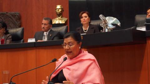 No puede haber desarrollo sostenible sin justicia social: Martha Palafox imagen 2