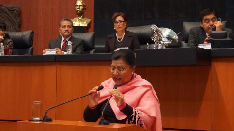 No puede haber desarrollo sostenible sin justicia social: Martha Palafox imagen 1