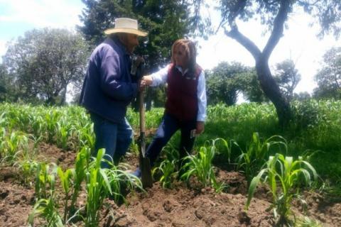 Estamos del lado de los campesinos: Lorena