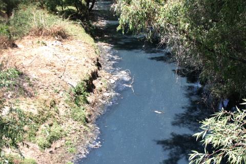 Graves daños a la salud por contaminación del río Zahuapan-Atoyac imagen 6