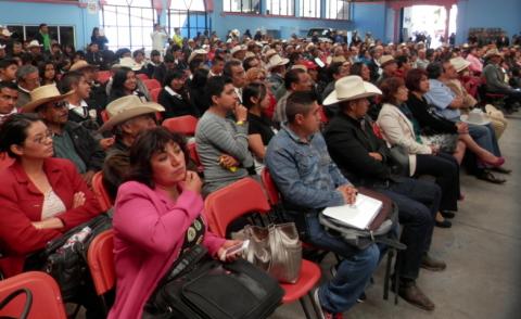 El maguey símbolo de identidad en México: Senadora Lorena Cuéllar Cisneros imagen 7