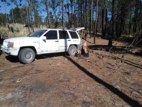 Asegura policía de Ixtenco camioneta con material forestal imagen 1