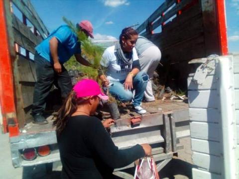 Gestión y trabajo de Michaelle Brito imagen 3
