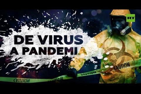 Afirman que los perros callejeros son el posible eslabón al origen del covid en pacientes cero