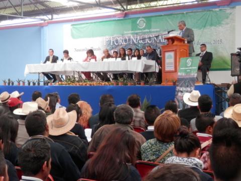 El maguey símbolo de identidad en México: Senadora Lorena Cuéllar Cisneros imagen 8