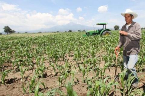Urgen al gobierno de Mena que emita reglas de operación para el campo