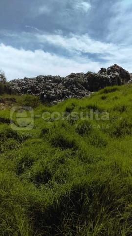 Ecología del Estado tenía conocimiento del problema del relleno sanitario: MFD imagen 2