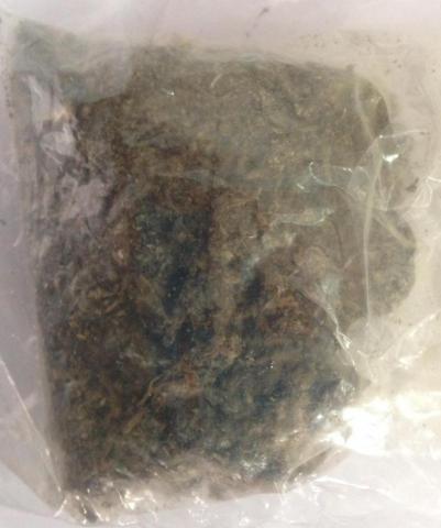 Se asegura una persona y marihuana en Zacatelco: CES