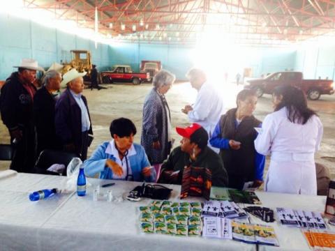 Realizan "Jornada del Adulto Mayor" en el municipio de Benito Juárez imagen 1
