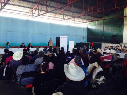 Realizan "Jornada del Adulto Mayor" en el municipio de Benito Juárez imagen 13