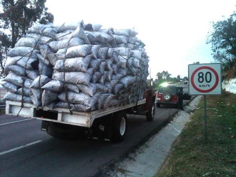 Asegura Profepa más de siete toneladas de carbón ilegal imagen 2