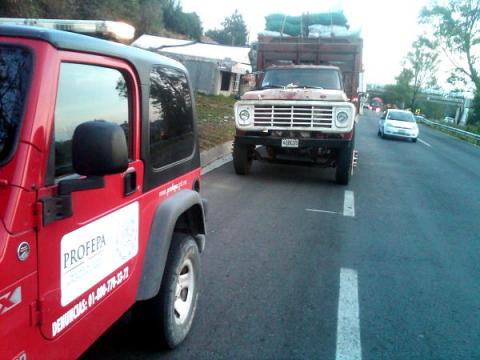 Asegura Profepa más de siete toneladas de carbón ilegal imagen 3