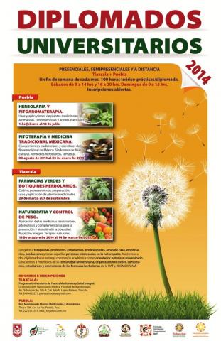 Naturopatía de la UAT realizará conferencia sobre suplementos alimenticios imagen 6